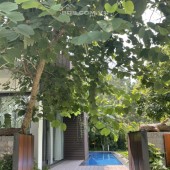 Bán biệt thự nghỉ dưỡng Flamingo Đại Lải Resort, Vĩnh Phúc, 150mx3Tx3PN giá 15 tỷ. LH: 0366051369.